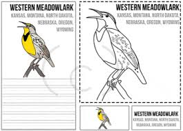 Each coloring page gives the name of the state and the bird. Usa State Birds Art Pack The Crafty Classroom