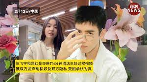 陈飞宇和网红是亦琳吖6分钟酒店生娃过程视频,被双方发声明称涉及双方隐私,变相承认为真- YouTube