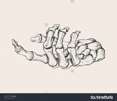Drawing Hand Skeleton Sketch 24 Ideas Skeleton Drawings Skeleton Art Skeleton Hands Drawing So typically we draw the hand skeleton from the top view and then we adjust it in our other views.