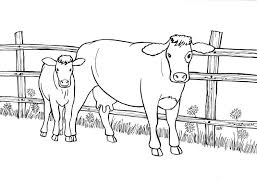 My point that first and foremost, coloring in is a fun. Free Printable Cow Coloring Pages For Kids