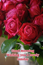Sunday Good Morning Flowers Good Morning Happy Sunday Good Morning Beautiful Flowers