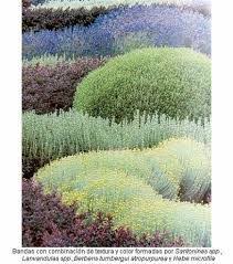 Resultado De Imagen Para Diseno De Jardines Contemplativos Diseno De Jardin Jardines Tipos De Plantas