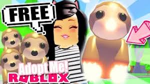A raccoon, a nocturnal mammal with a mask around its eyes. How To Get Neon Sloth Pet Free In Adopt Me Roblox Gamepass Update Youtube