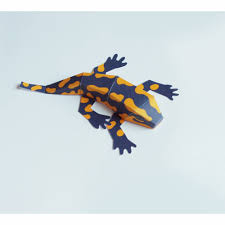 Download as pdf, txt or read online from scribd. Salamander Bastelbogen Feuersalamander Bausatz Fur