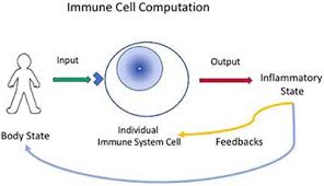 Maybe you would like to learn more about one of these? Frontiers The Immune System Computes The State Of The Body Crowd Wisdom Machine Learning And Immune Cell Reference Repertoires Help Manage Inflammation Immunology