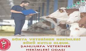 25 nisan dünya veteriner hekimler günü i̇le i̇lgili şiir. Jd8onks2kmpg M