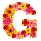 Flowers are beautiful and it is the best way to express your feelings towards others. G Name Alphabet Images Pictures Symbols Letters Name Tag Images