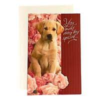 I give clues to every to make a card. Valentines Day Greeting Card For Wife Husband Dog Ebay