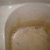 Finish by rinsing with fresh water from a handheld shower head or a large cup. 1
