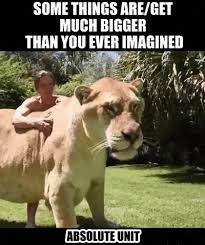 Things That Will Shock You 11 Things That Are Way Way Wayyyy Bigger Than You Ever Thought Cute Funny Animals Funny Animal Clips Funny Animals