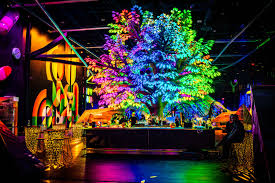 Check spelling or type a new query. Things To Do In Las Vegas This Weekend January 29 31 2021 Thrillist Australia