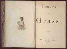 Walt Whitman Leaves Of Grass Brooklyn 1855 Walt Whitman Inspirational Books Books