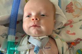 Fundraiser for Ashley Hathaway by Morgan Danielle Smith : Help for Henry  Hathaway