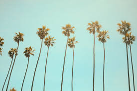 You can also upload and share your. California Wallpapers Free Hd Download 500 Hq Unsplash