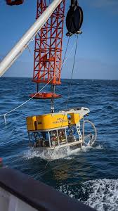 Wohlfühlen leicht gemacht.vorwerk kiel 0,16 km. Iceage3 Expedition Successfully Completes Its First Rov Dive Ocean Health Research Iatlantic
