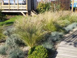 Massifs Lavande Jardin Jardin Mediterraneen Amenagement Jardin Devant Maison