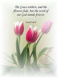 Check spelling or type a new query. Pin On Faith