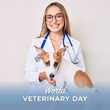 We offer a wide array of services, including boarding for your pet. Pets And Vets As Partners Home Facebook