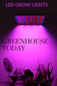 Does The Color Of Light Affect Plant Growth Plant Growth Garden Greenhouse Grow Lights