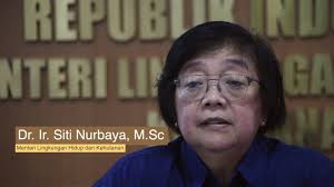 Terbitkan SK Rencana Operasional FOLU Netsink 2030, Simak Penjelasan  Menteri LHK