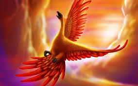 Download, share or upload your own one! Phoenix Bird Wallpaper Wallpapertag