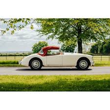 Image result for Old English White 1961 MG