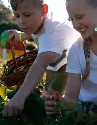 In australia (except western australia), this day is celebrated on the. Queensland Public Holidays School Holidays Dates Queensland