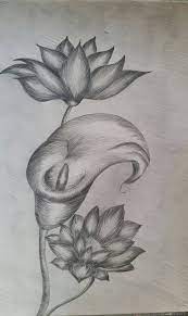 Cutie cu trandafiri și ferrero rocher premium. Flori Desen In Creion Drawings Painting Drawing Flower Tattoo