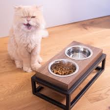 Mia Cat Dog Feeder Waterer In 2020 Cat Feeder Dog Feeder Cats