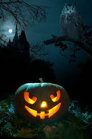 Photography Backdrop Pumpkin Castle Owl Halloween Background Portrait Clothbackdrops For P Creepy Pumpkin Halloween Backgrounds Halloween Wallpaper Backgrounds