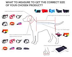 Versatile Dog Hiking Line Harness Non Stop Dogwear Non
