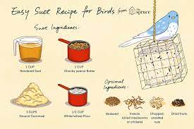 When you purchase suet in cakes from a bird supply store. How To Make Homemade Suet For Birds