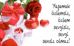 Henüz aradığı romantik sevgililer günü mesajı ile karşılaşmamış olanlar için mesaj seçeneklerini derledik. Bugun 14 Subat Sevgililer Gunu Romantik Sozleri Mesajlari Internet Haber