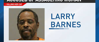 Man tortures, kills girlfriend's cat during police standoff