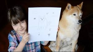 Shiba inus are awesome ★ cute shiba inu compilation. 7 Year Old Girl Does Drawing Of Her Shiba Inu Youtube