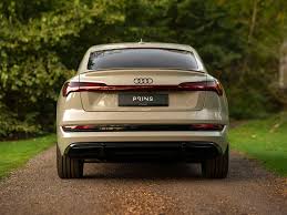 Image result for Siam Beige 2020 Audi