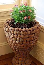 Heruntergefallene Zapfen Sammeln 15 Geniale Ideen Fur Eure Herbstdeko Mit Tannenzapfen Basteln Topfblumen Und Herbst Dekoration