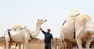 It was entered into the 25th moscow international film festival. Mers Isn T An Epidemic That Makes It Harder To Find A Cure Wired