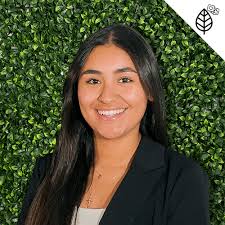 Our Marketing Success Team