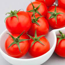 Tomato Plants F1 Summerlast Suttons
