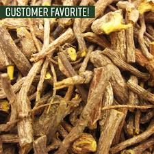 Image result for Cryptolepis