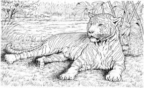 You will find cat, deer, tiger & all sorts of creatures your kid loves to color. Related Posts Wildlife Coloring Pages Coloring Pages Coloring Book Art Cat Coloring Page