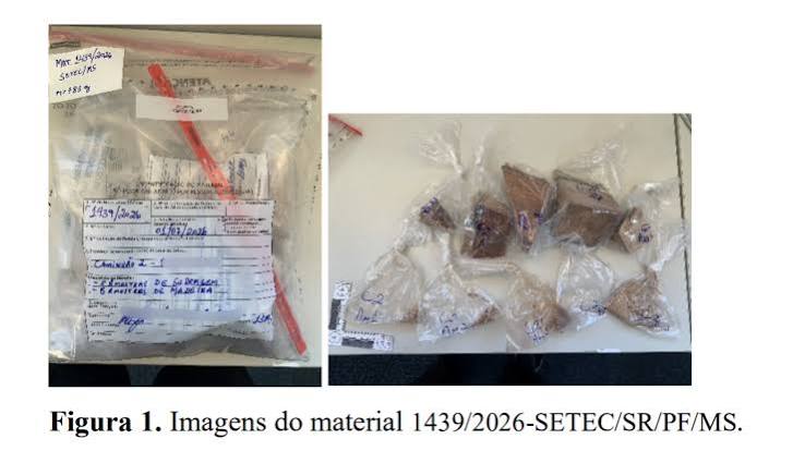 PF confirma: sem coca&iacute;na nas madeiras apreendidas em Corumb&aacute;