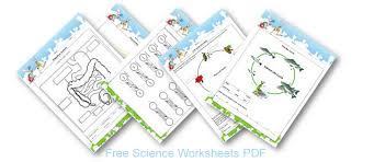 Free 3rd grade math worksheets. Ecosystem For Kids Science Activities For Kids 1st To 5th Grades Games Quizzes Worksheets