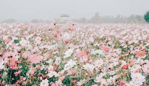 Plants and worn, aged materials are generally used by japanese garden designers to suggest a natural landscape, and to express the fragility of existence as … User Blog Sakuraflight Coding 2 Animal Groups Roleplay Wiki Fandom