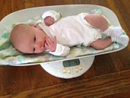 Newborn Weight Loss Calculator And Infant Growth Chart