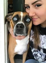 AQ3D Daily Boss Calendar for September 2024