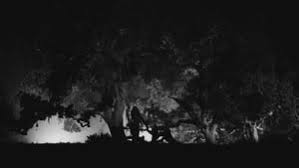 As a filmmaker and his girlfriend return home from his movie premiere, smoldering. Malcolm Marie Movies 3k