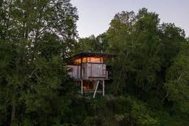 Gambar pemandangan rumah di bawah pohon rindang. Dirancang Lebih Tinggi Rumah Ini Tawarkan Pemandangan Alam Sekitar Semua Halaman Idea