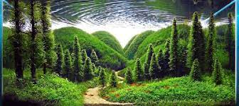 100 Gambar Desain Aquascape Yang Paling Keren Aquarium Landscape Nature Aquarium Aquascape